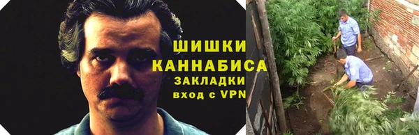 спиды Бородино