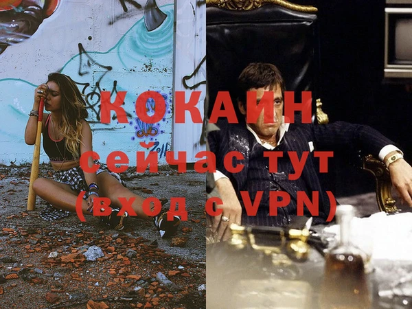 спиды Бородино