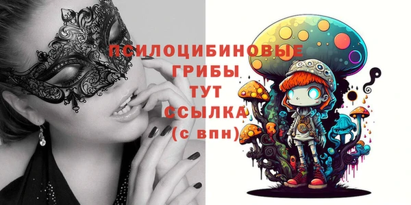 дмт Бугульма