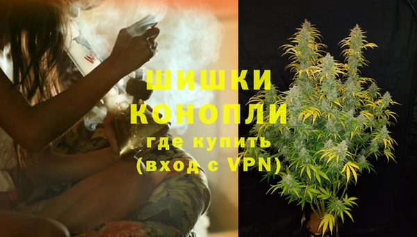 спиды Бородино