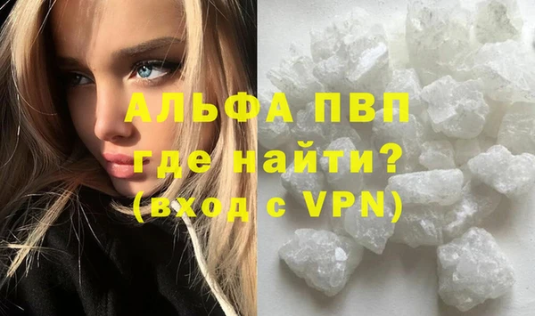 спиды Бородино