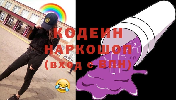 спиды Бородино
