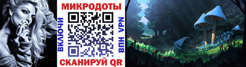 Галлюциногенные грибы Psilocybe  mega tor  Новосиль 